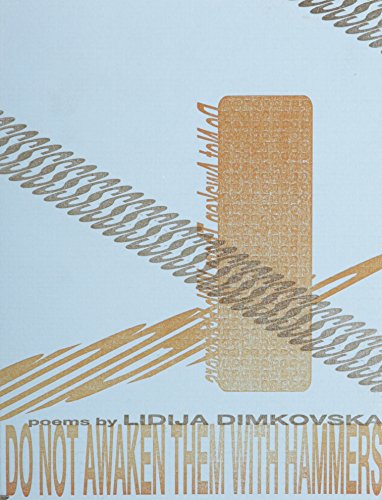 cover image Do Not Awaken Them with Hammers