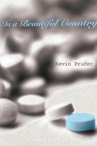 cover image In a Beautiful Country