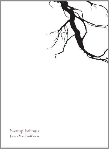 cover image Swamp Isthmus