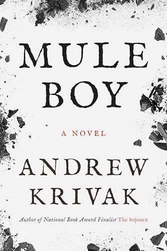 cover image Mule Boy