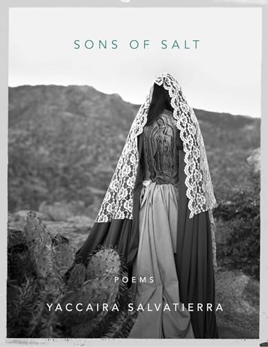 cover image Sons of Salt