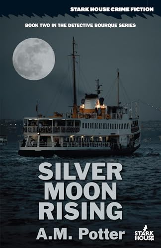 cover image Silver Moon Rising (Detective Bourque #2)